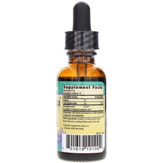 Sweet Echinacea, HFK